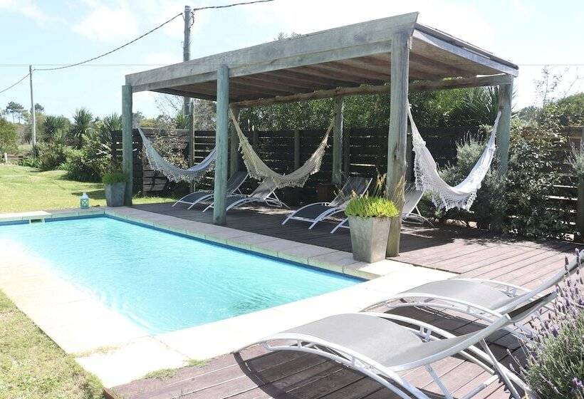 Los Pecados De La Viuda