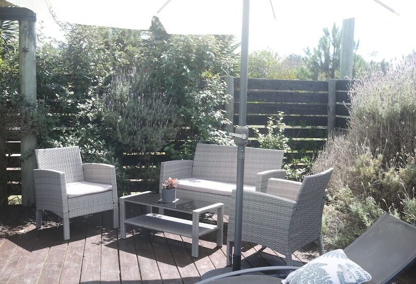 Los Pecados De La Viuda