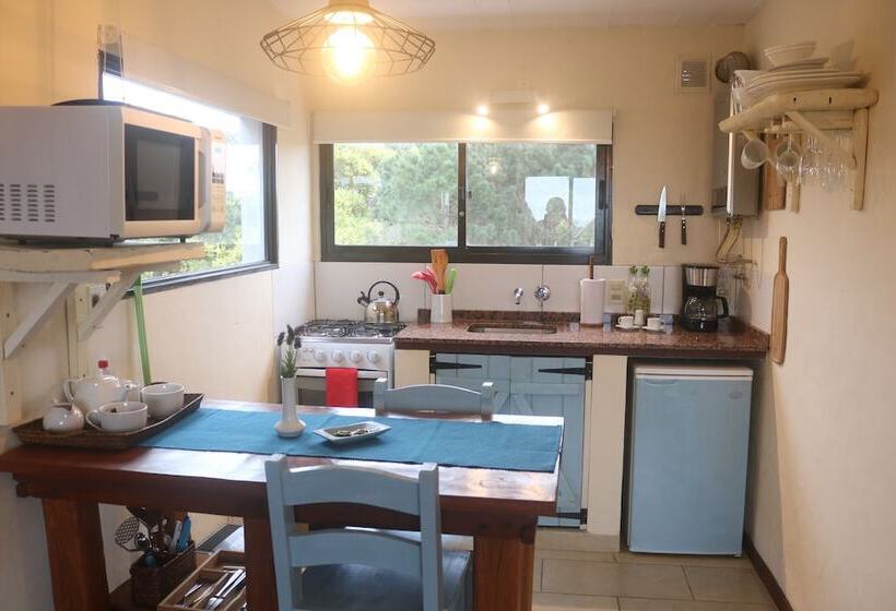 Los Pecados De La Viuda