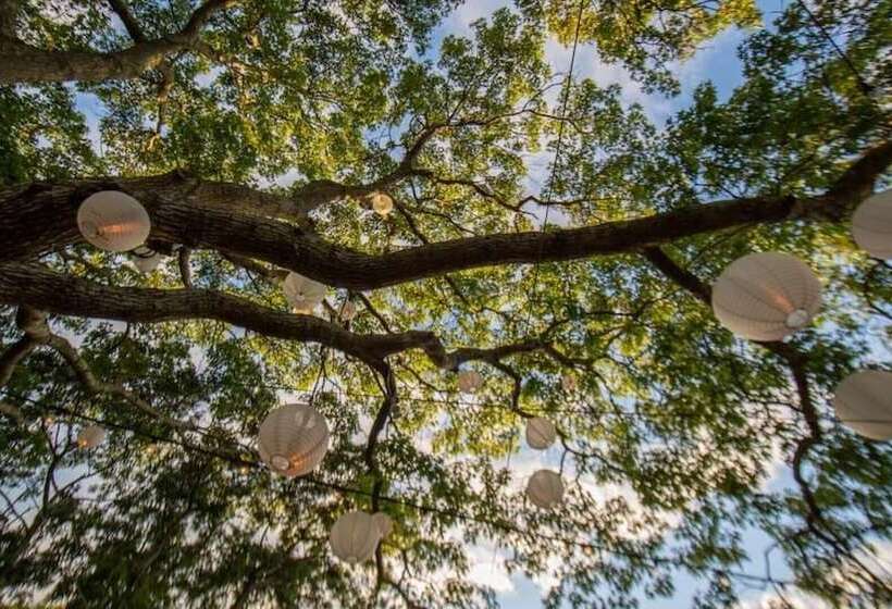 فندق Ruschmeyers #10   Dlx Queen