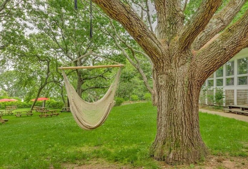 فندق Ruschmeyers #4   Queen