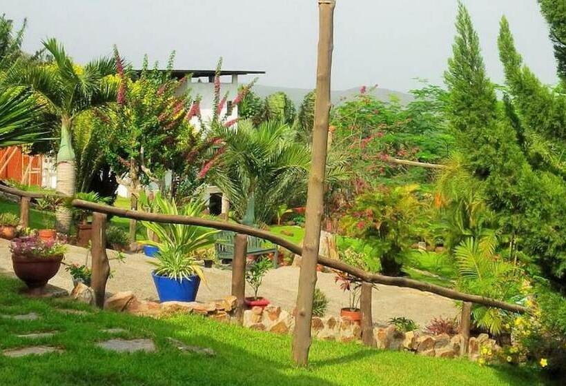 پانسیون Hillburi   Standard Double