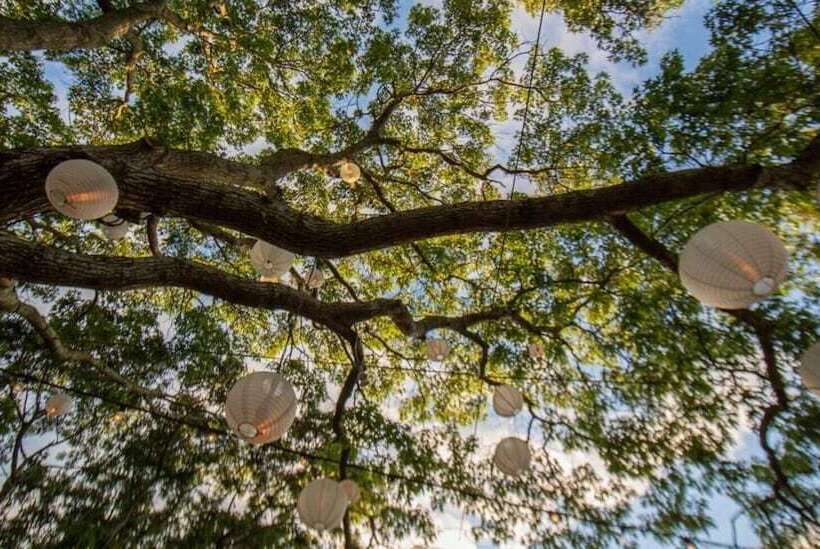 بنسيون Ruschmeyers #5   Queen