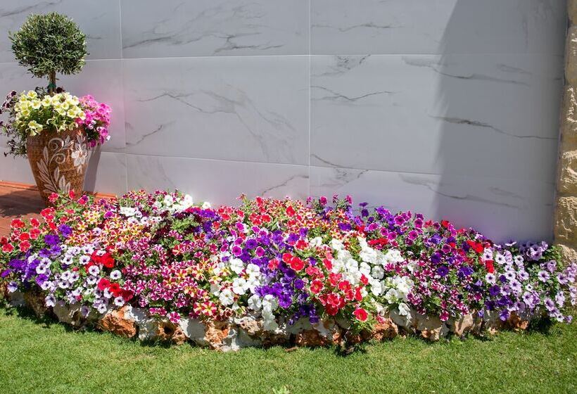 פנסיון Suite Room For 5