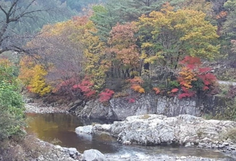 Pyeongchang Heungjeong Sketch Pension