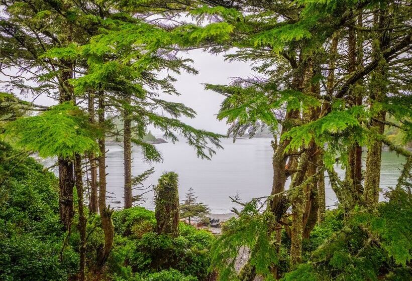 リゾートホテル The Cabins At Terrace Beach