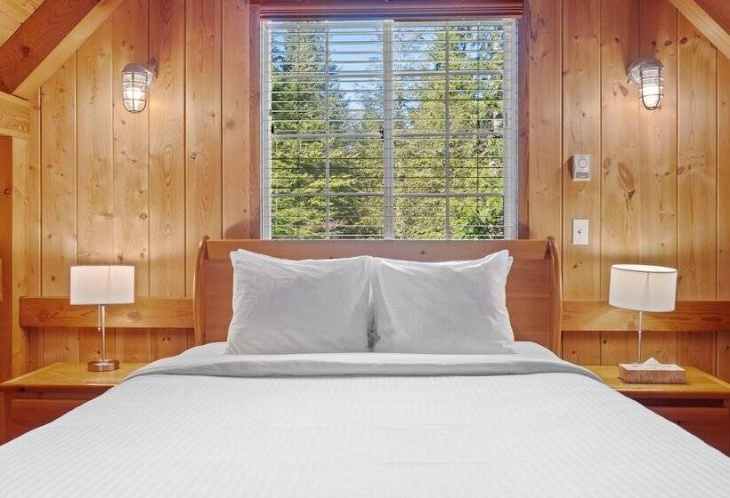 リゾートホテル The Cabins At Terrace Beach