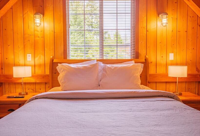 リゾートホテル The Cabins At Terrace Beach