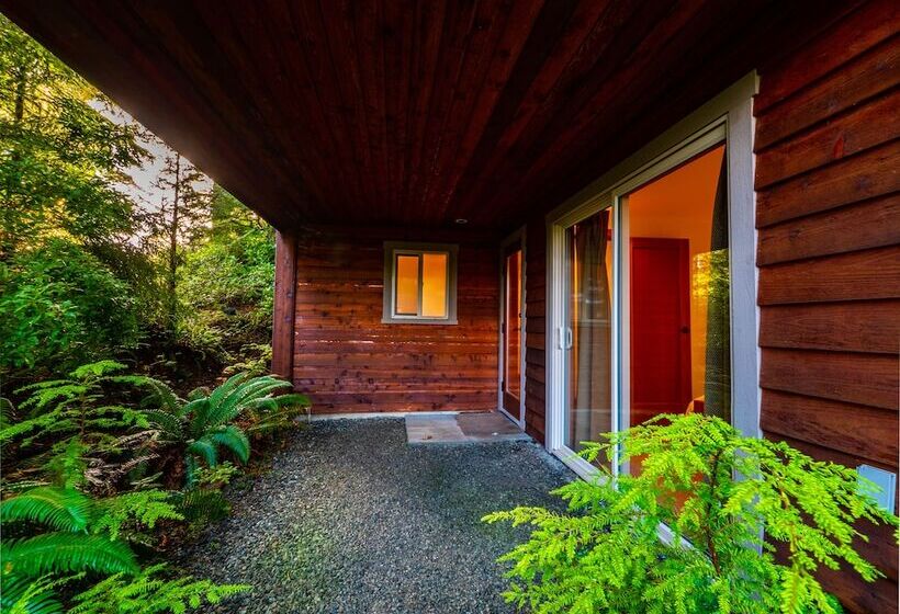 リゾートホテル The Cabins At Terrace Beach