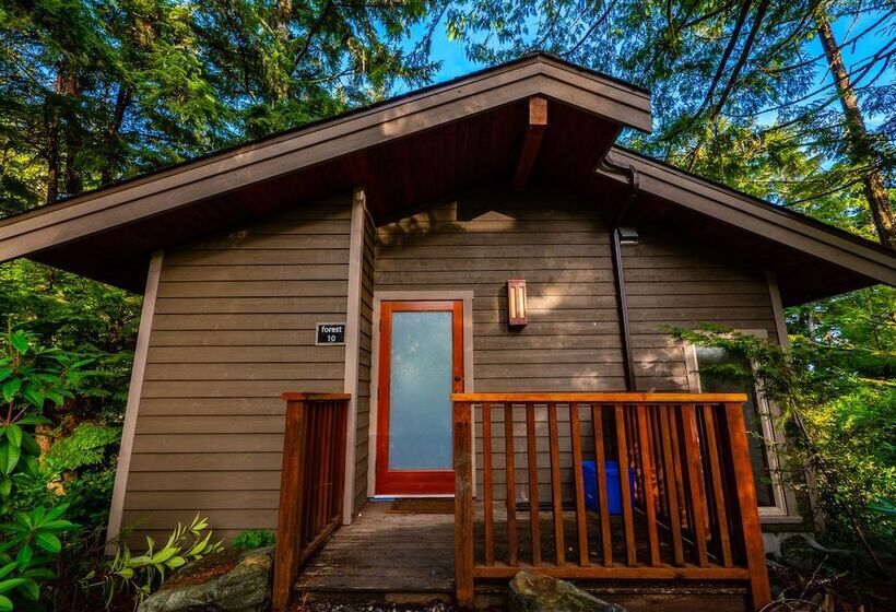 リゾートホテル The Cabins At Terrace Beach