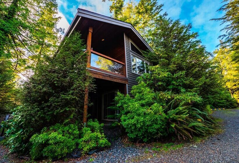 リゾートホテル The Cabins At Terrace Beach