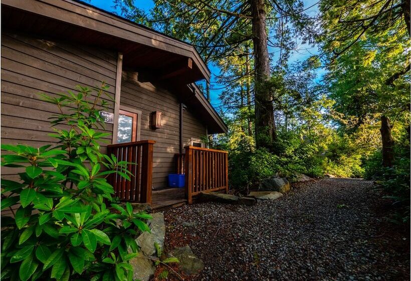 リゾートホテル The Cabins At Terrace Beach