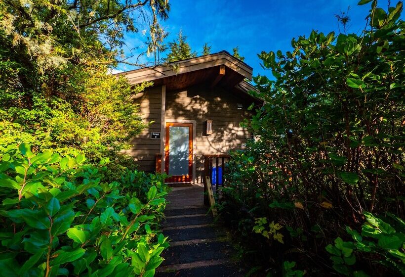 リゾートホテル The Cabins At Terrace Beach