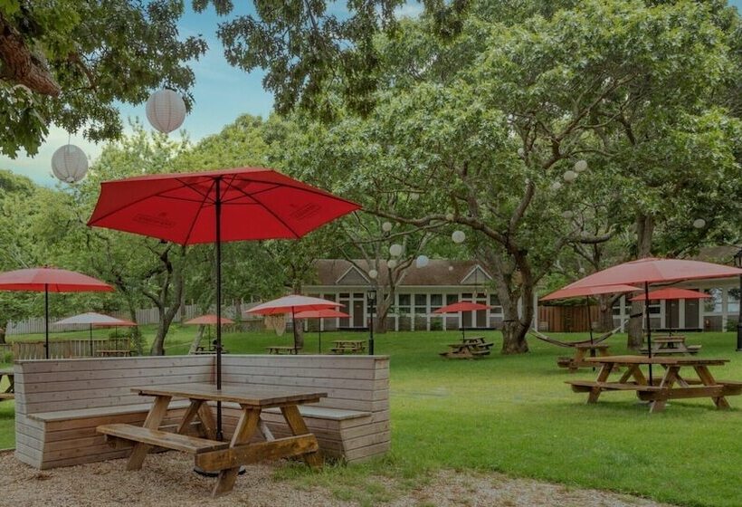 Ruschmeyers #12   Dlx Queen