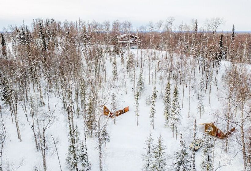 Birch Cabin