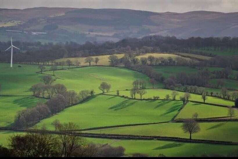 Woodpecker Pod With Views