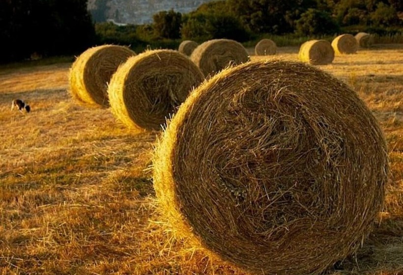 مبيت وإفطار Panorama Room 2 Pers With Breakfast In Tuscany