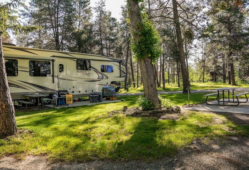 فندق Alpine Lodge