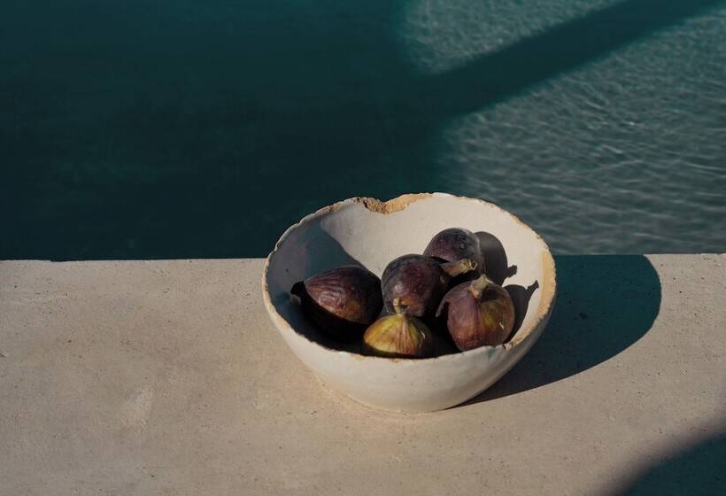 펜션 Casa Michaus Valle De Guadalupe