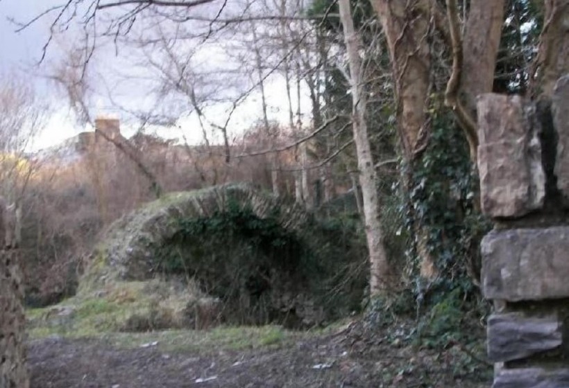 مبيت وإفطار Abbey Court