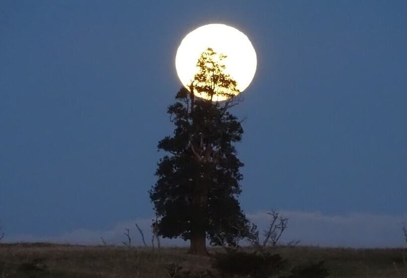 Gracias A La Vida Lodge