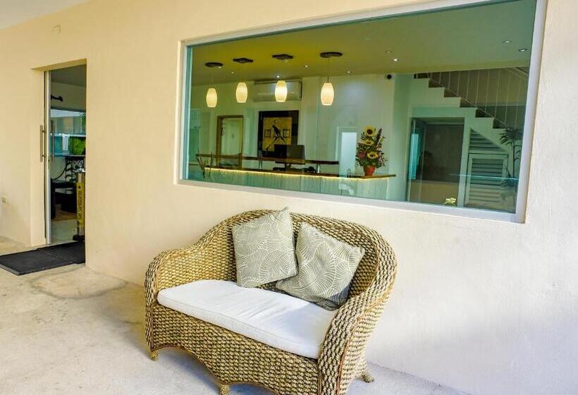 ホテル 12 Bees By Kavia