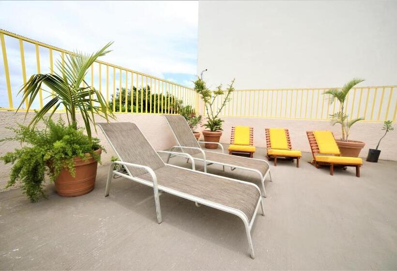 ホテル 12 Bees By Kavia