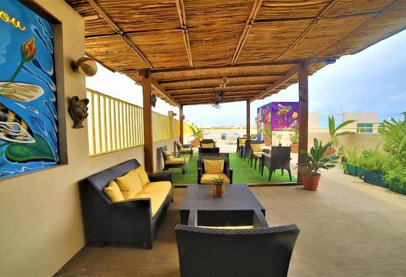 ホテル 12 Bees By Kavia