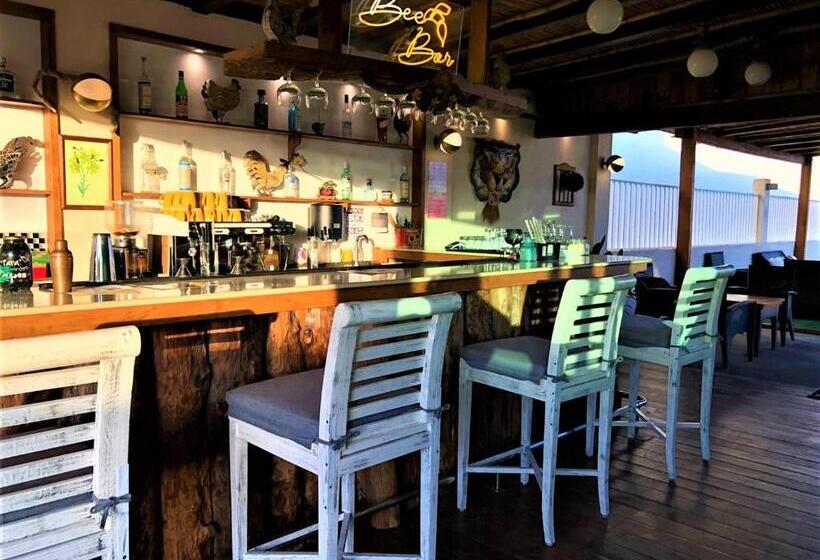 ホテル 12 Bees By Kavia