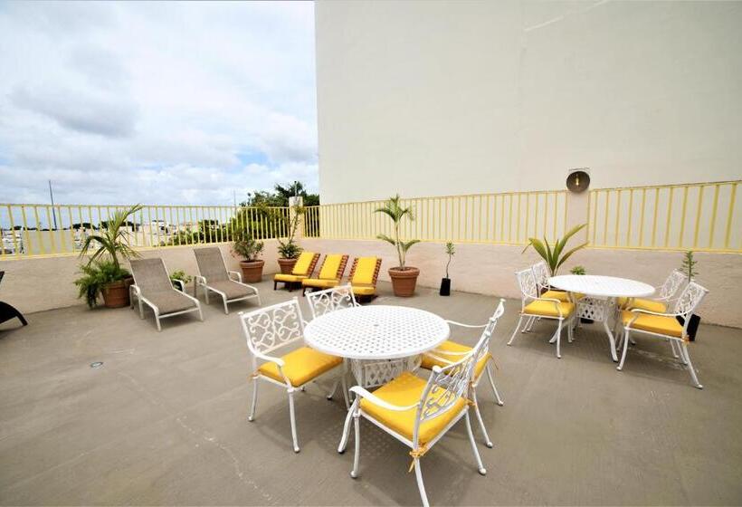 ホテル 12 Bees By Kavia