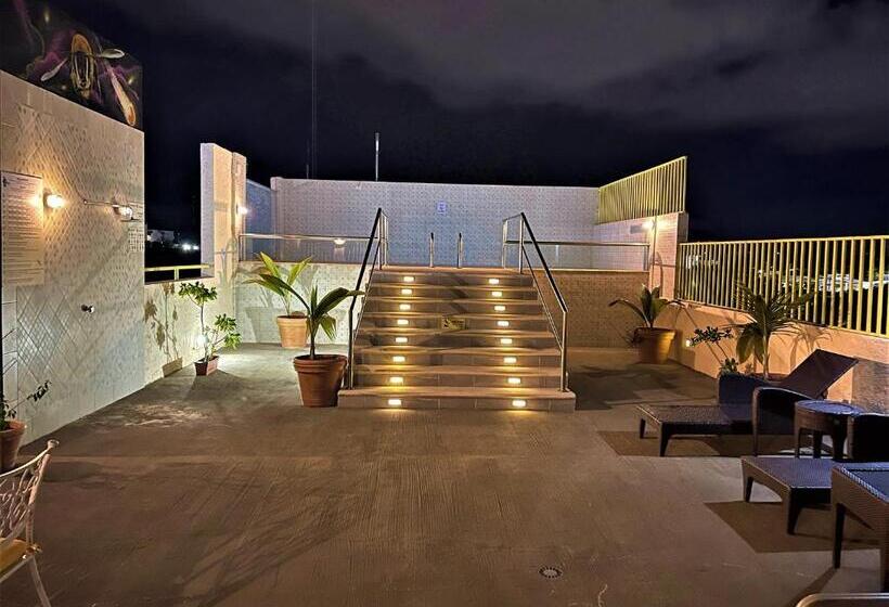 ホテル 12 Bees By Kavia