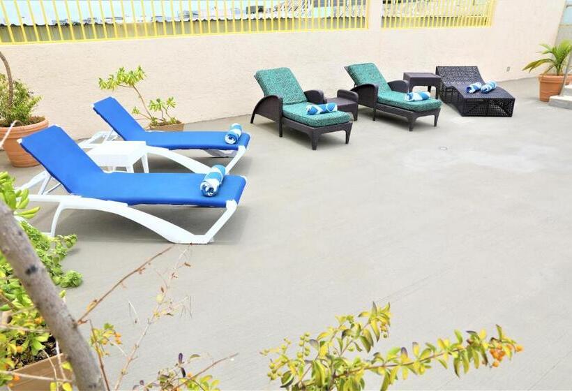 ホテル 12 Bees By Kavia