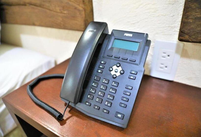 ホテル 12 Bees By Kavia