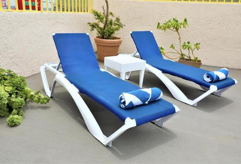 ホテル 12 Bees By Kavia