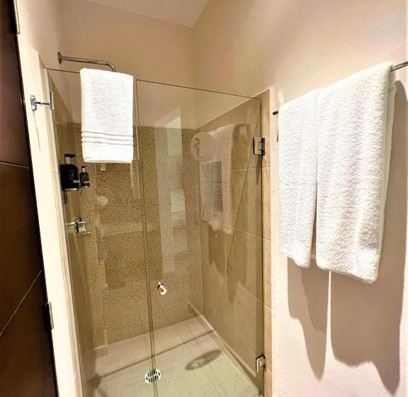 ホテル 12 Bees By Kavia