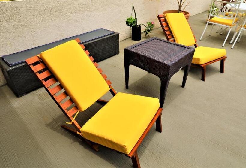 ホテル 12 Bees By Kavia