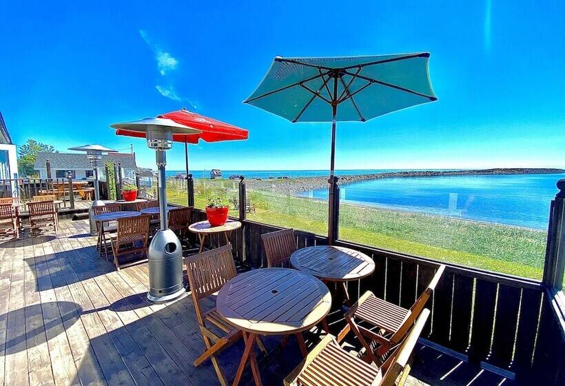 فندق Auberge Le Caribou