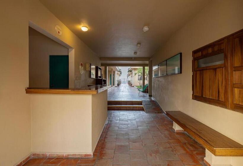 בית מלון כפרי Bungalows Las Arenas