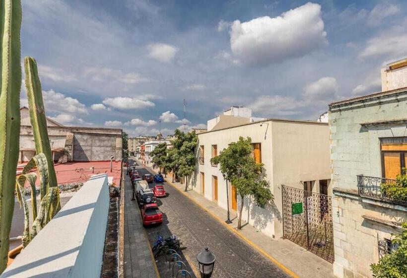 Отель Casa Olié