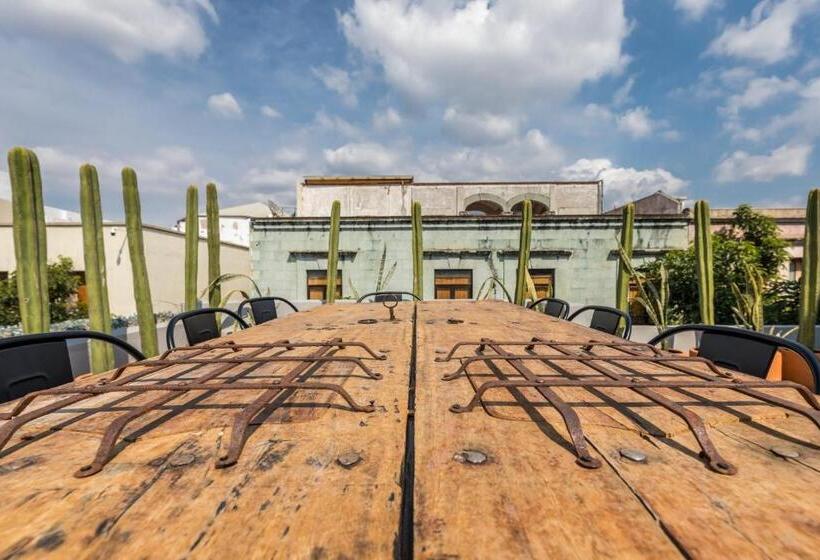 Отель Casa Olié