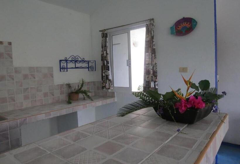 בית מלון כפרי Eco Coco Loco By Rotamundos