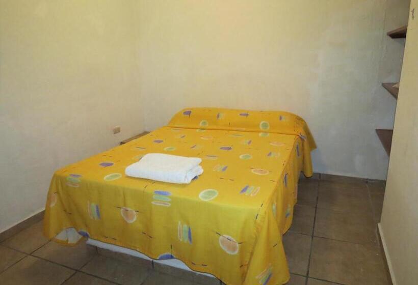 호텔 Eco Coco Loco By Rotamundos