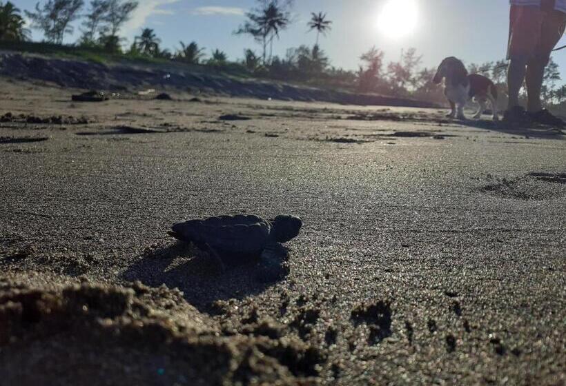 בית מלון כפרי Eco Coco Loco By Rotamundos