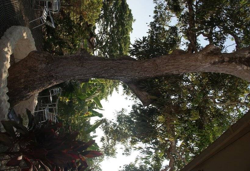 ホテル Laguna Mar