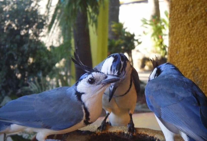 ホテル Laguna Mar