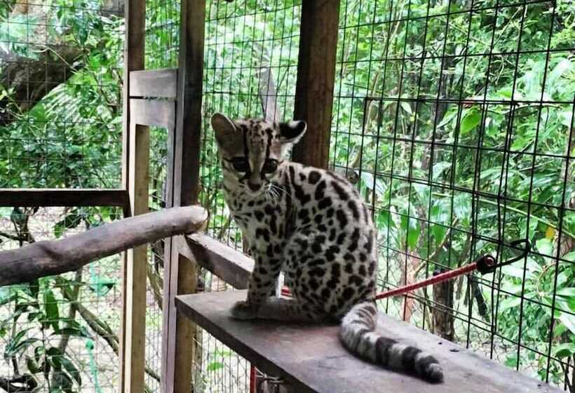 ホテル Laguna Mar