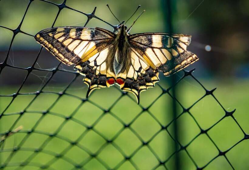 בית מלון כפרי Naturena