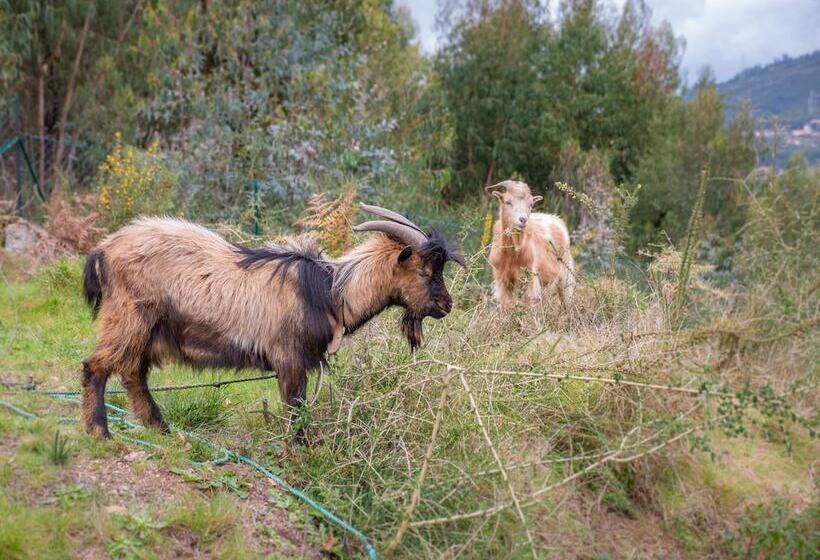 בית מלון כפרי Naturena