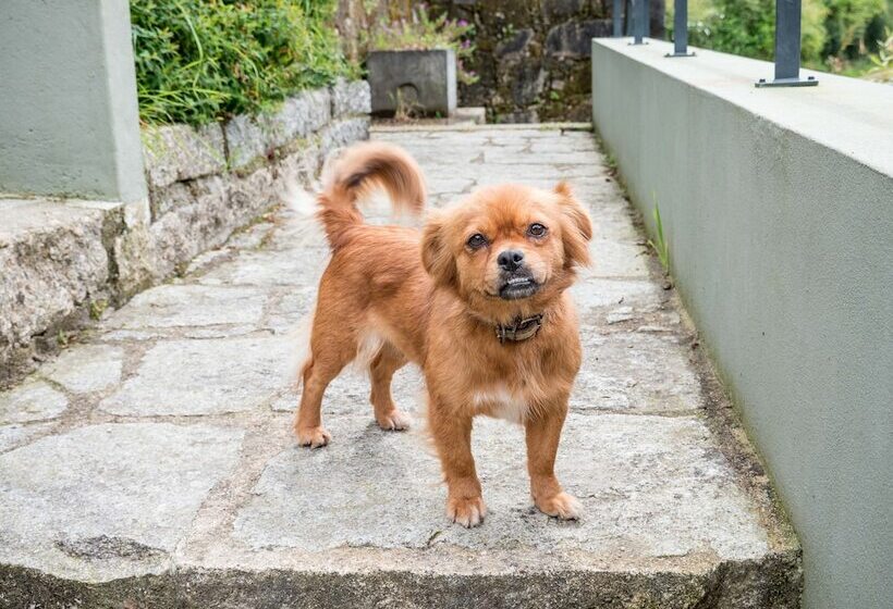 בית מלון כפרי Naturena