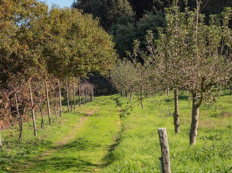 בית מלון כפרי Naturena
